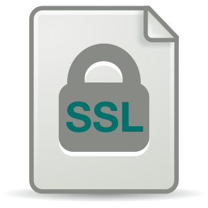 Bluemix UI: SSL Certificates for Custom Domains