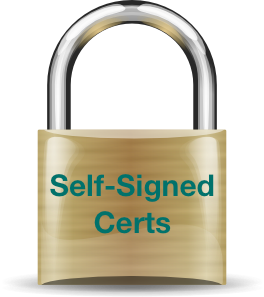 "Generating Self-Signed SSL Certificates for Use with Bluemix Custom Domains